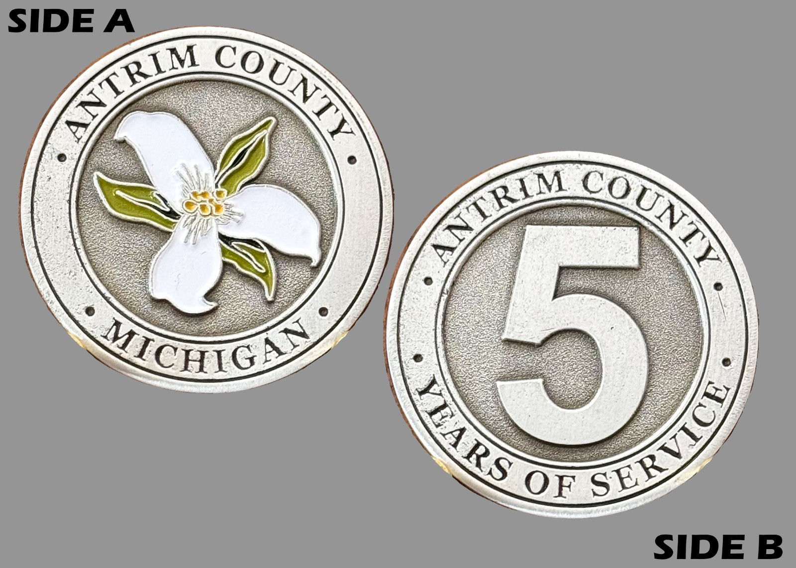 Antrim County Michigan 5 Years of Service Challenge Coin  M#11