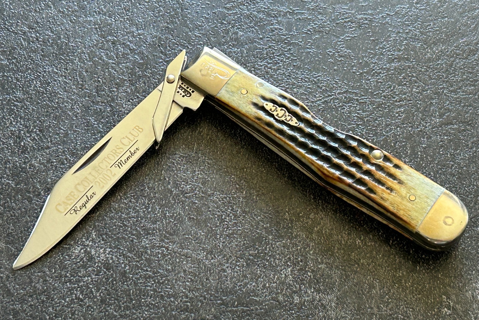 2002 CASE XX 6111 1/2L SS Cheetah Knife Burnt Moss Bone CCC Complete Pouch + Box