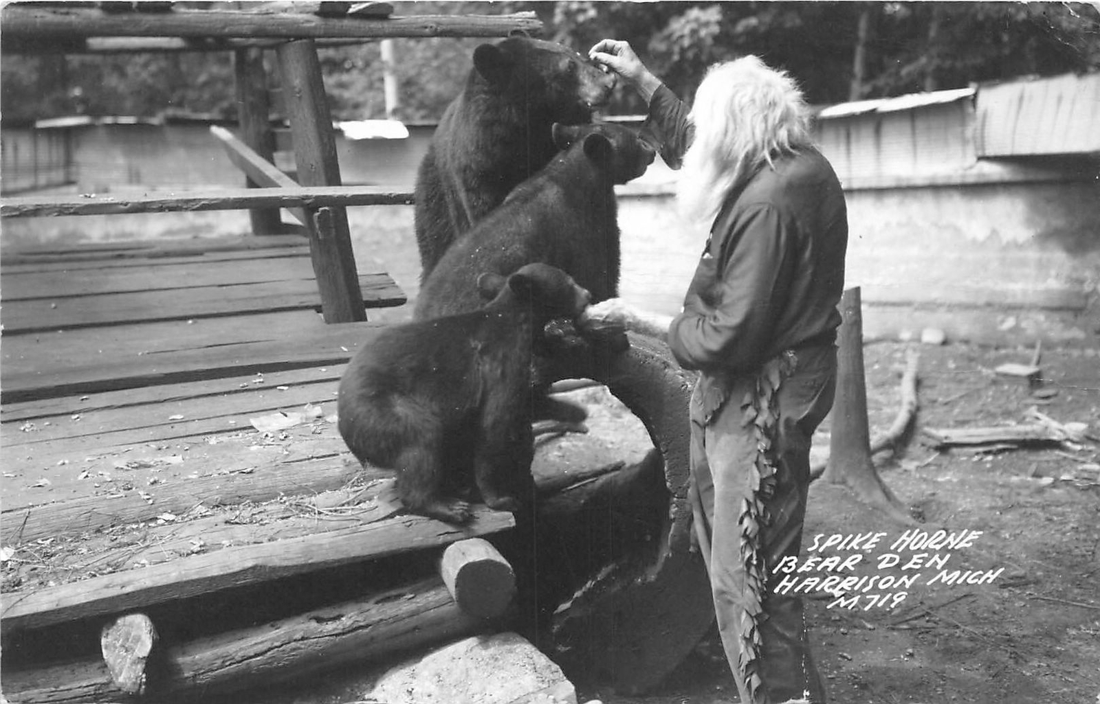 H32/ Harrison Michigan RPPC Postcard c40s Spikehorn Black Bear Den Feed 20
