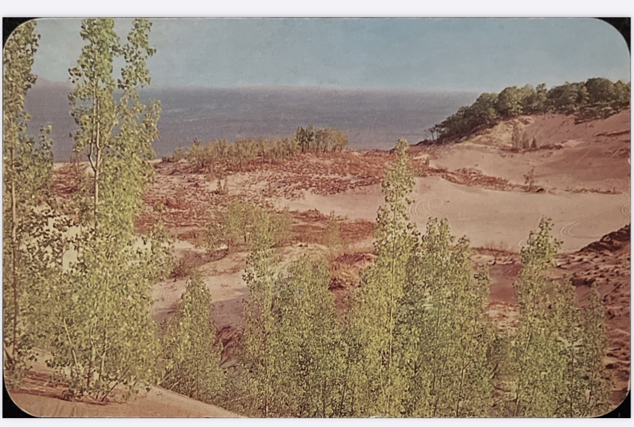 Warren Dunes State Park, Michigan Postcard