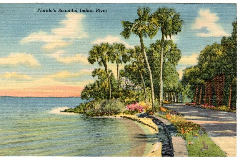 Vintage Postcard FLORIDA\'S BEAUTIFUL INDIAN RIVER 1940\'s Linen Postcard NOS