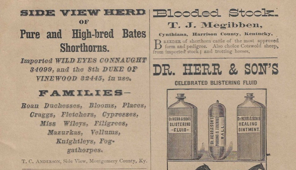 1880 KY Ads:  Cynthiana KY, Sideview KY, Lexington KY, Louisville KY, Ohio