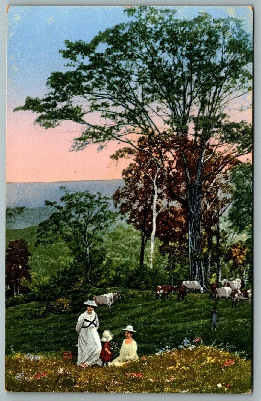 Antique Postcard~ German New Dellesauer Mission~ Sattelberg, Papa New Guinea