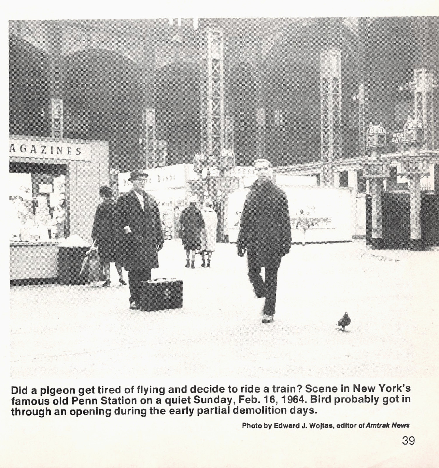 NYC Penn Station Pigeon Photo 1964 Pre-Demolition Rail Scene 5.25 x 5.5\