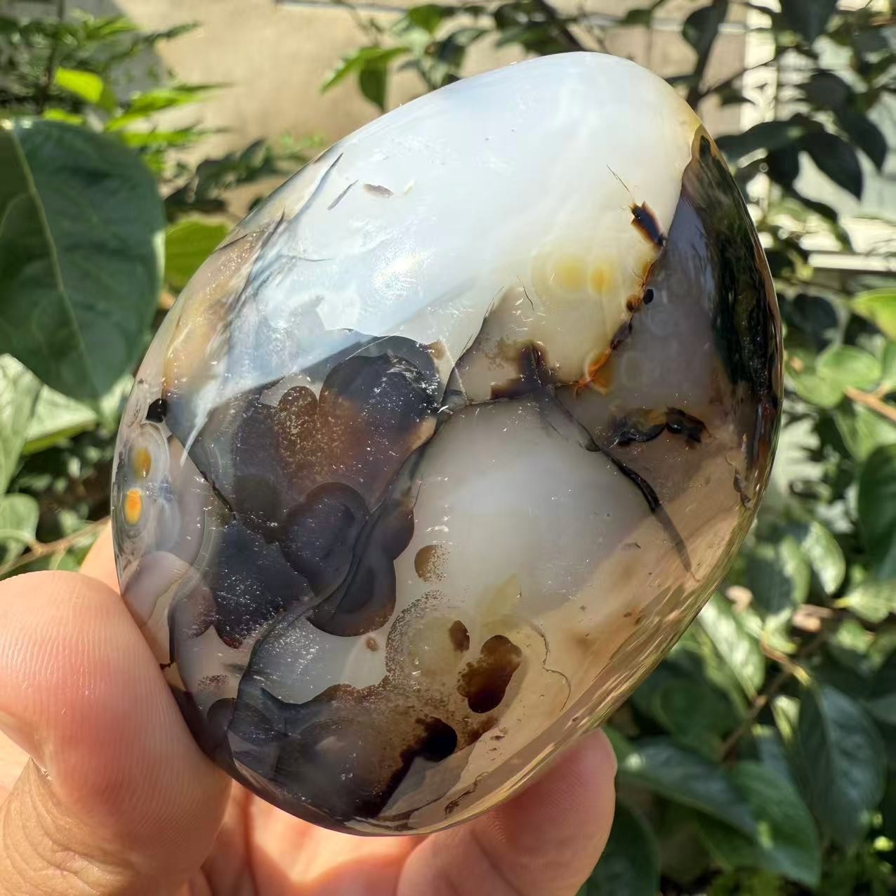 250g Rare Natural Dendritic Agate FreeformA+Quality Multi-Inclusions Crystal