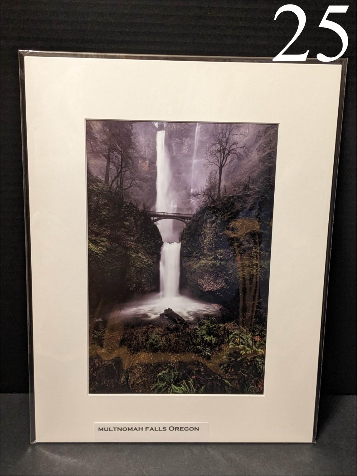 Photograph Multnomah Falls Oregon Waterfalls Bridge Scenic 12x16 matted Art