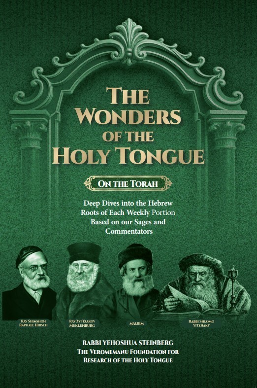 The Wonders Of The Holy Tongue sefer Just Released Brand New