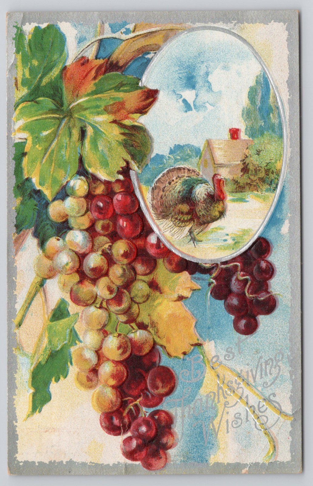 Best Thanksgiving Wishes Turkey Rural Scene Grapes Embossed 1909 Postcard