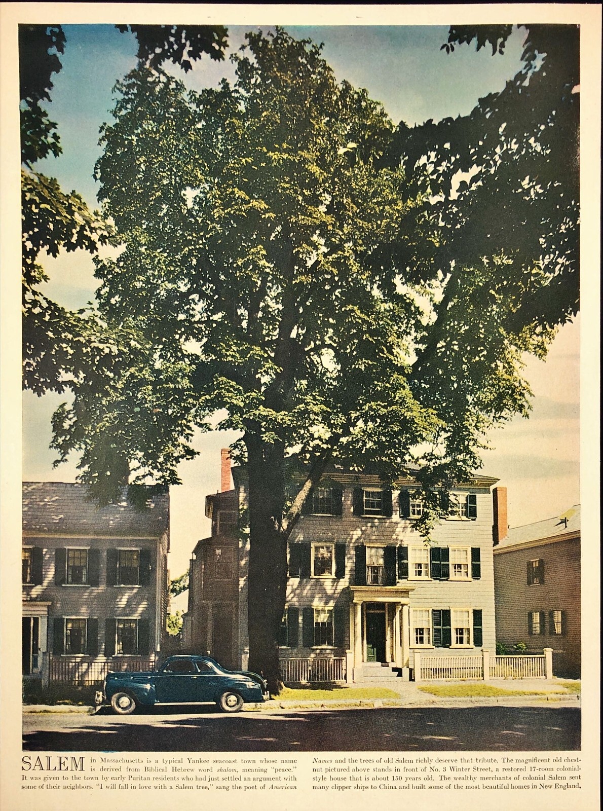 1944 Salem Massachusetts Yankee Seacoast Town Salem Tree Magazine Print