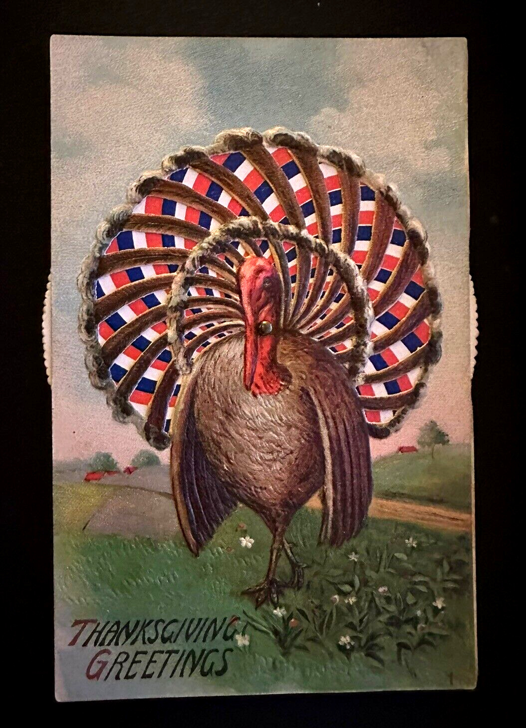 Mechanical  Turkey Thanksgiving Kaleidoscope Spinner~ Novelty Postcard-h868