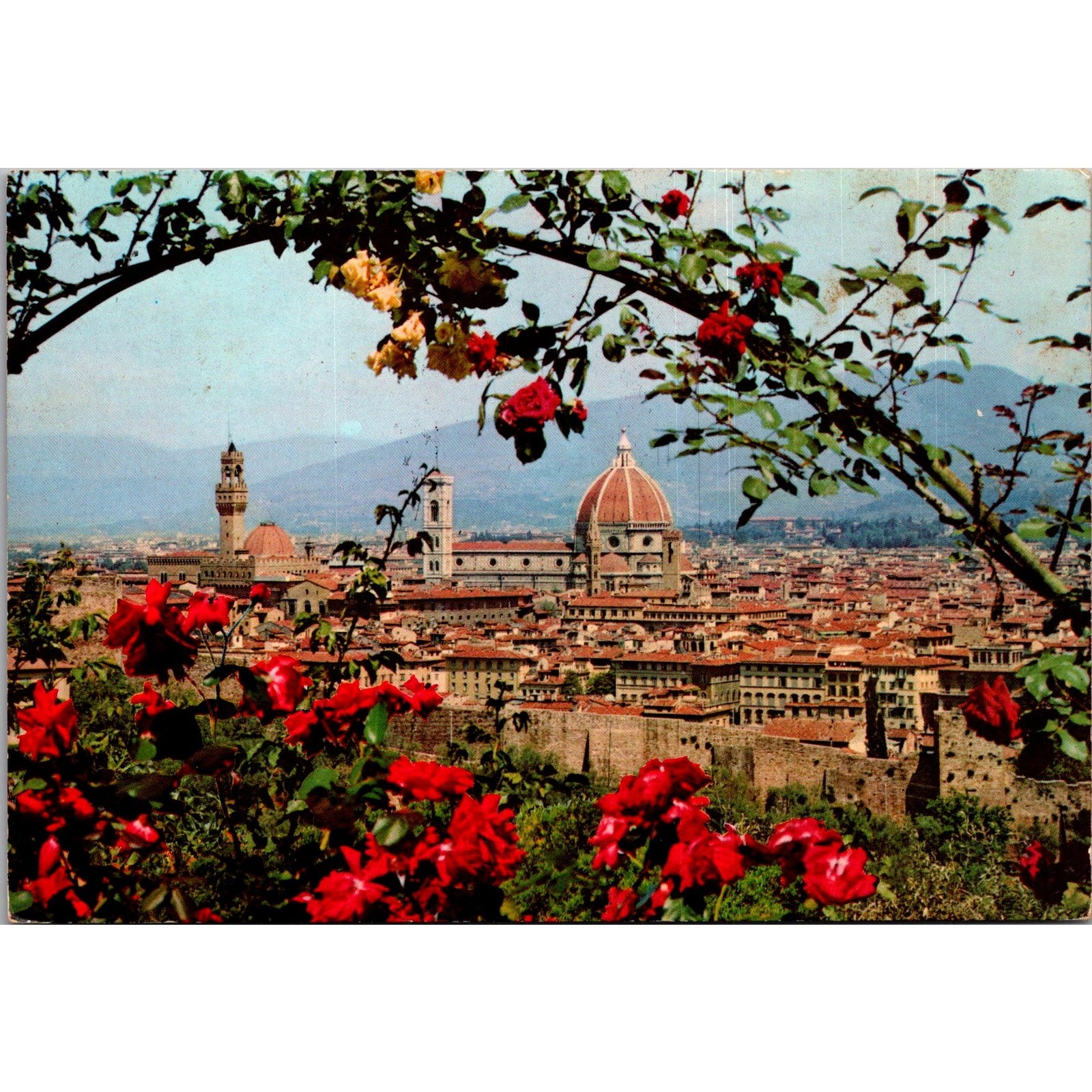 A Classic Scenic View of Florence Italy Vintage Postcard SP10-9