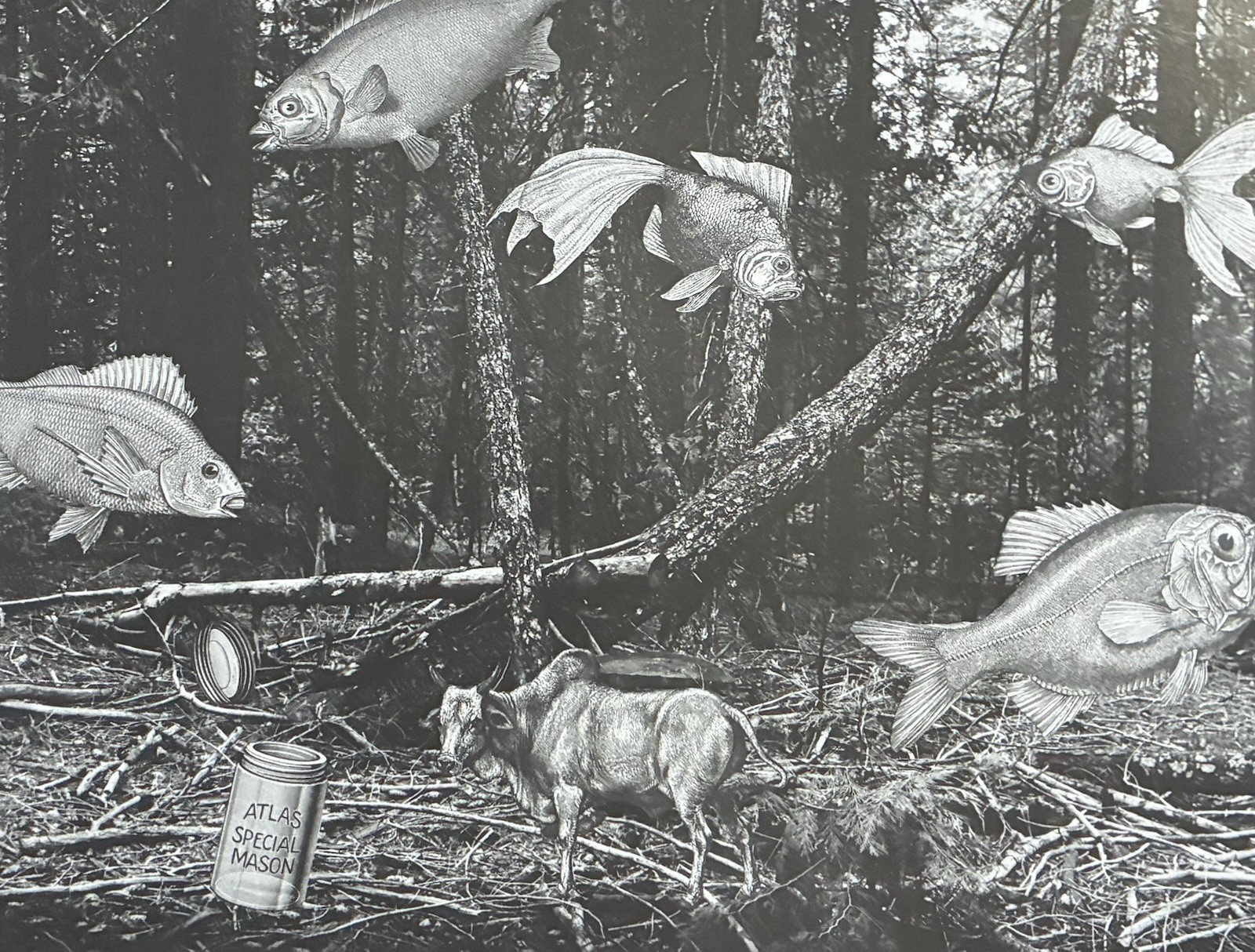 Surreal Fish Forest Photomontage Linda Mann 1981 SFSU Student Print  11x14