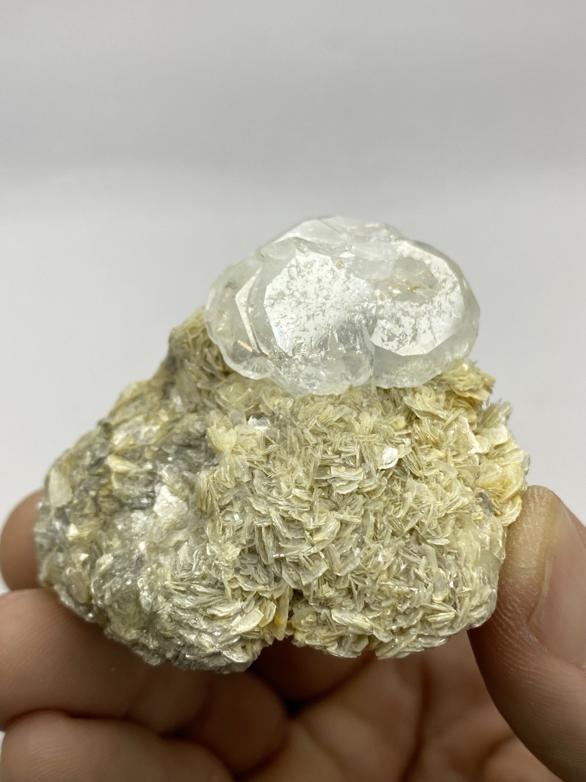 Goshenite on Golden Muscovite - Sichuan Province, China - 