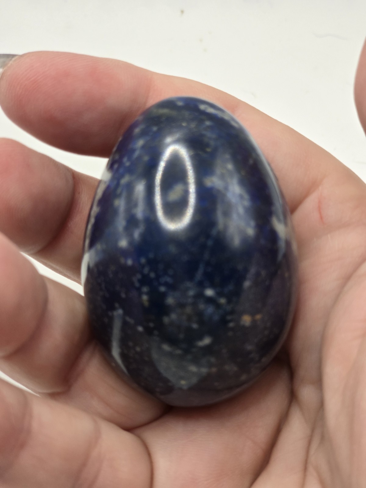 Lapis Lazuli Collector egg 118 grams  gorgeous w/ Stand