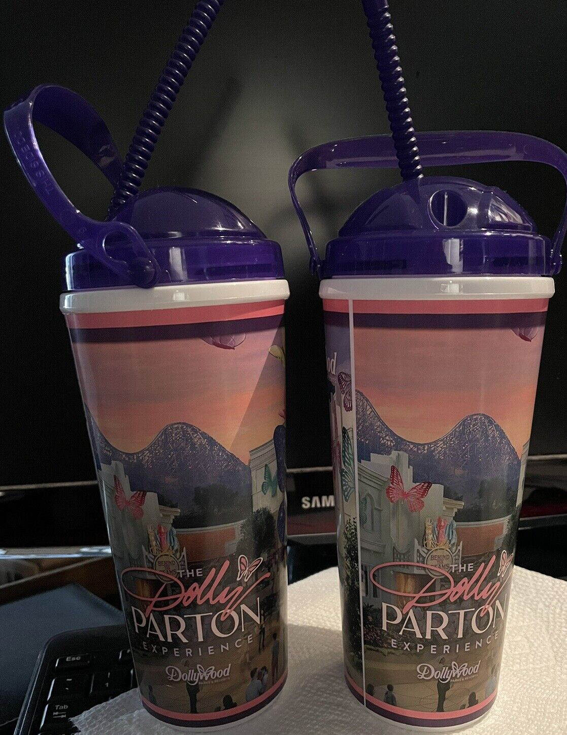 Lot Of Two Dollywood 2024 Refillable Tumblers (20 oz) - Dolly Parton Experience