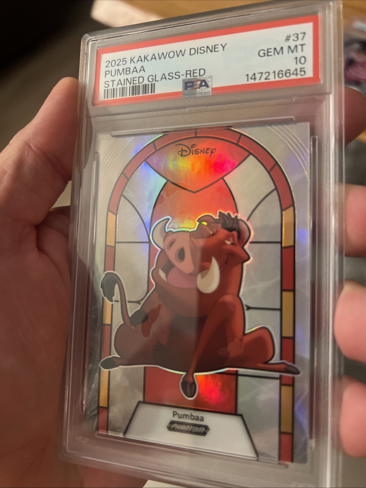 Pop 1 2025 Kakawow Disney PUMBAA Stained Glass-Red /75 Psa 10