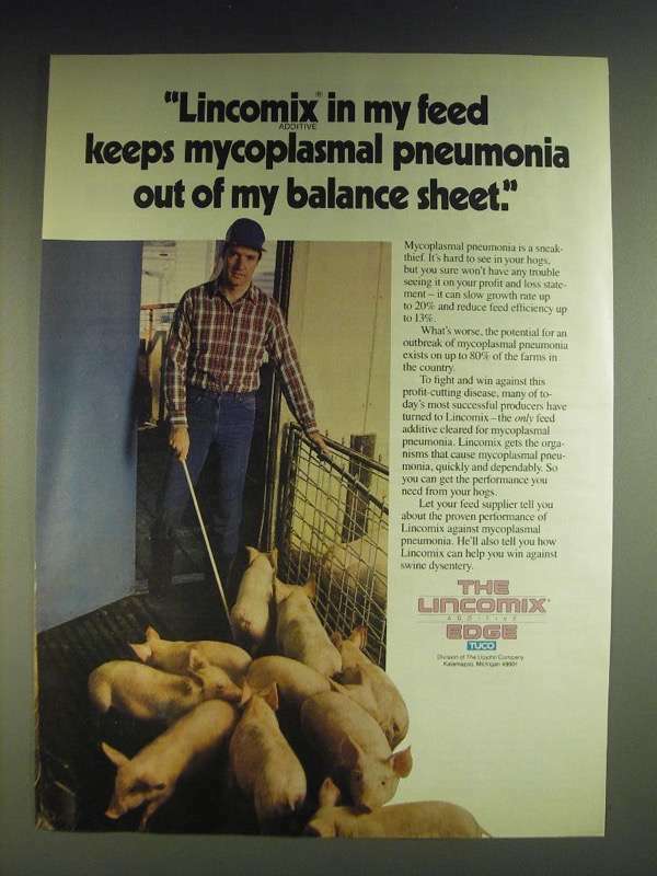 1984 Upjohn Tuco Lincomix Ad - keeps mycoplasmal pneumonia Out