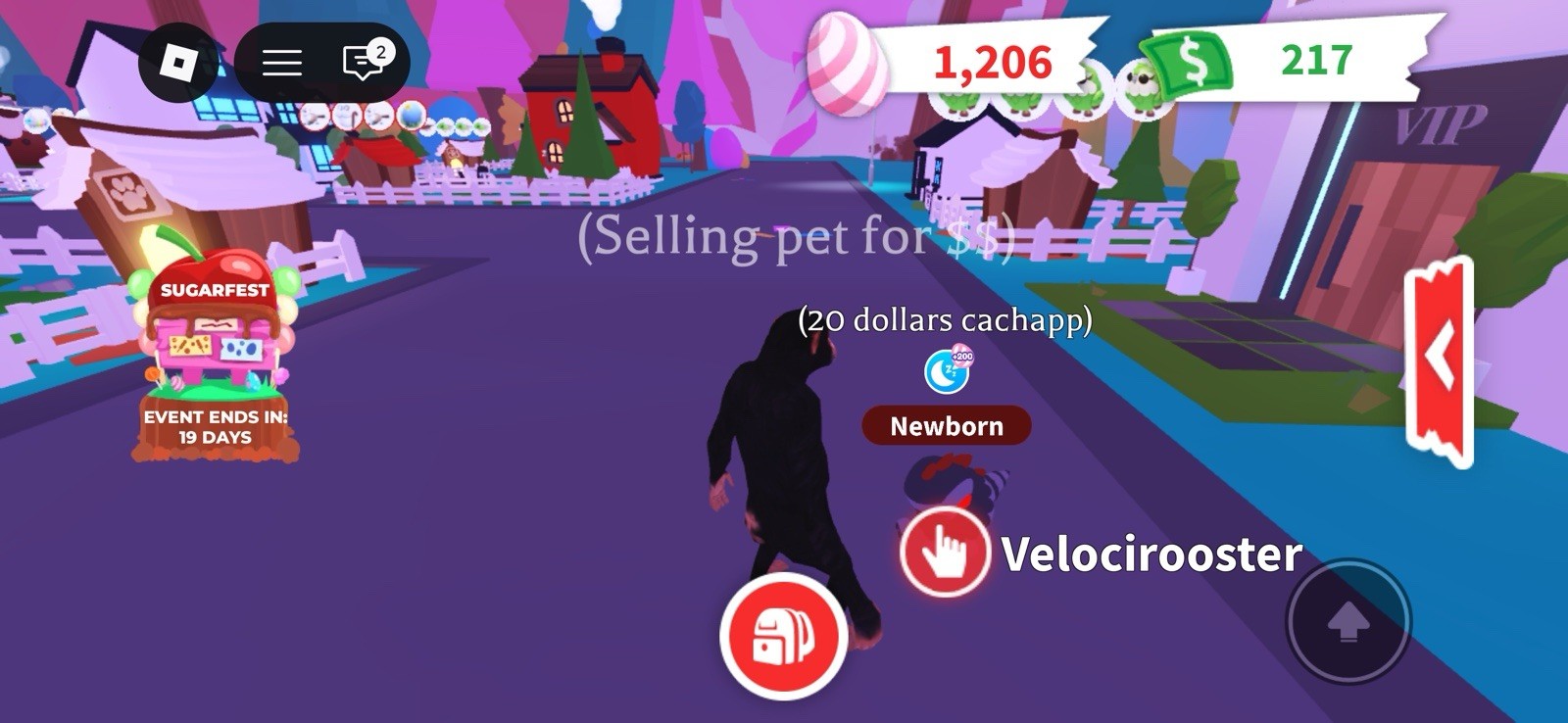 Adopt Me Velocirooster Newborn Virtual Pet In-Game Item Asset for Adopt Me Adopt Me Velocirooster Newborn Virtual Pet In-Game Item Asset for Adopt Me