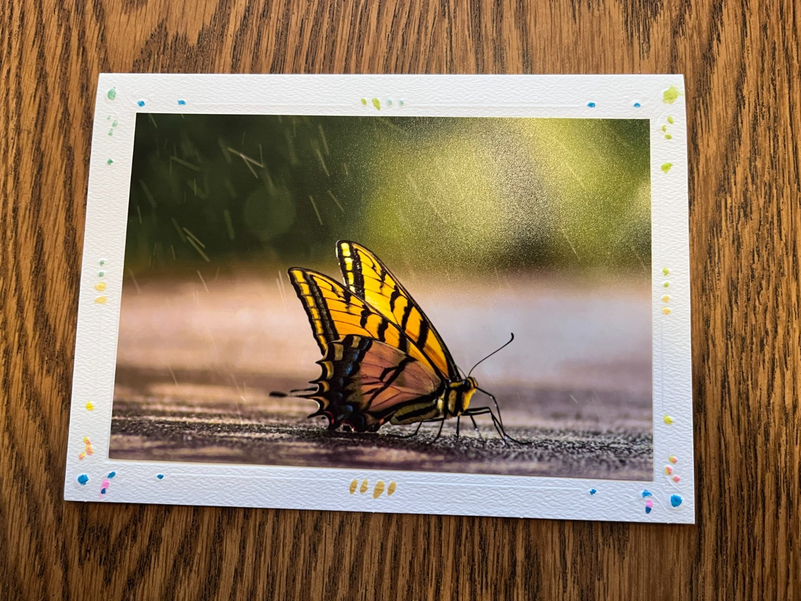 KINGDOM CARDS BEAUTIFUL HOMEMADE GREETING CARDS WITH NWT QUOTE INSIDE 
