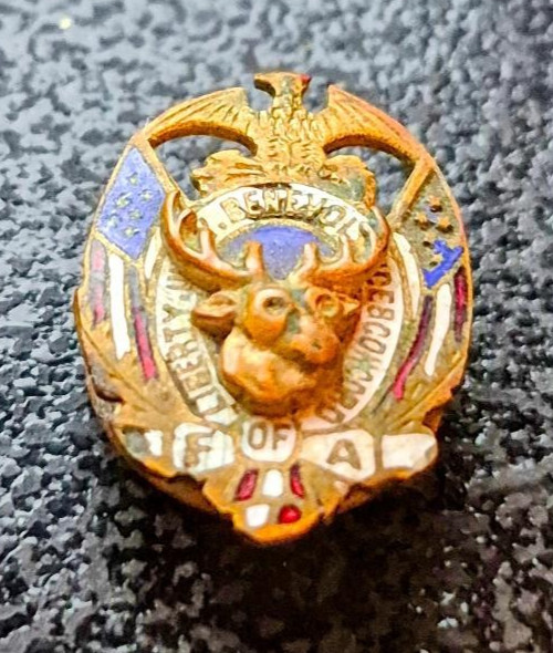 ANTIQUE FORESTERS OF AMERICA FRATERNAL LAPEL PIN - EARLY 1900'S