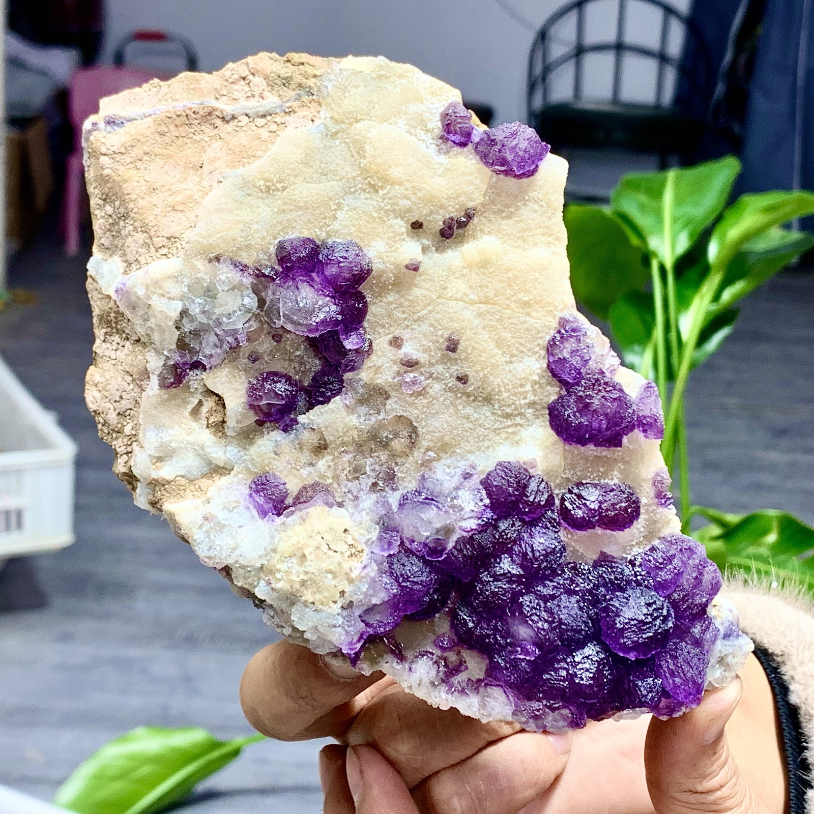 1.27LB Rare purple Green blue cubic fluorite mineral crystal sample/Zhejiang