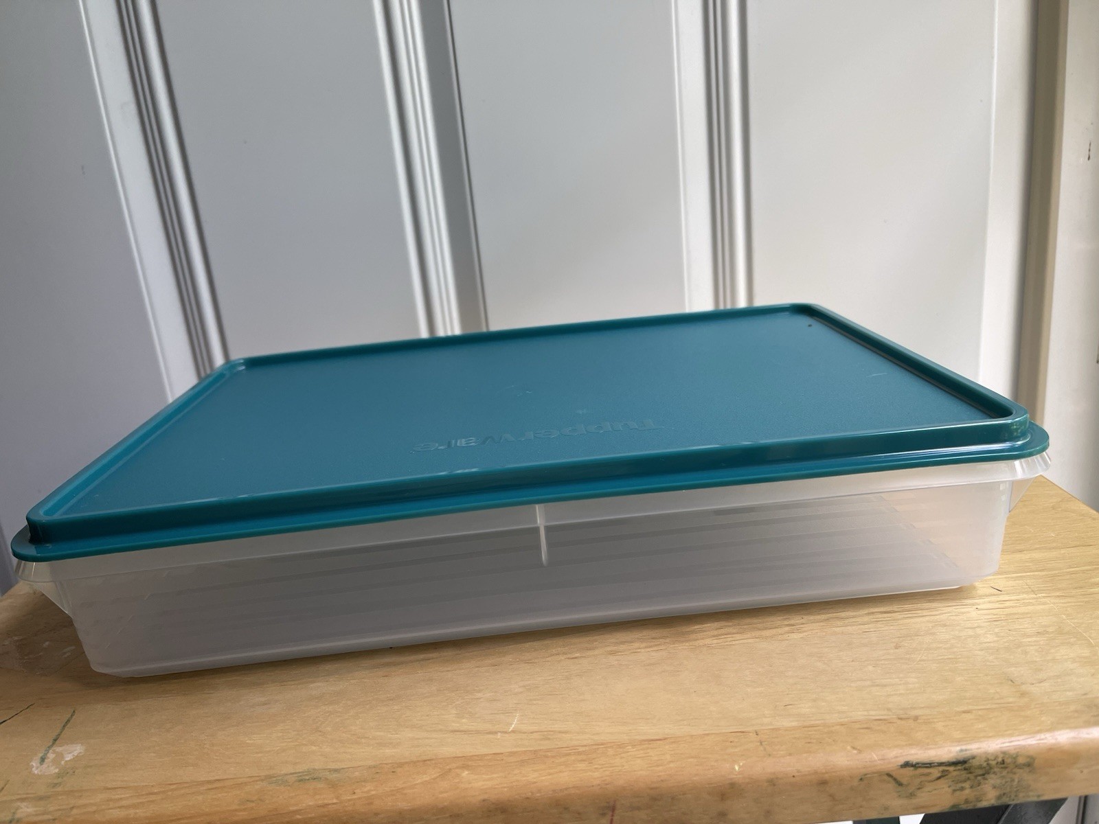 New Tupperware 9 X 13 Snack & Store