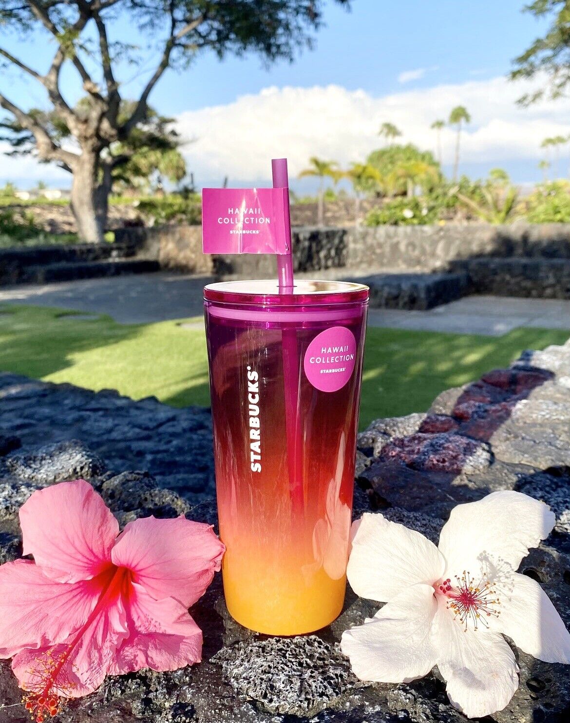 🌈STARBUCKS HAWAII EXCLUSIVE Sunset Pink Orange Ombré Glass Tumbler 18oz