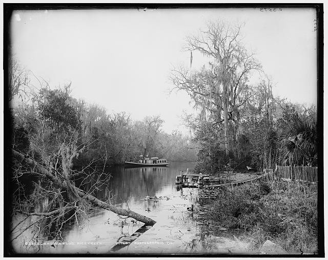 Photo:Brown's Landing Rice Creek Florida 1880s River Steamboat Dock