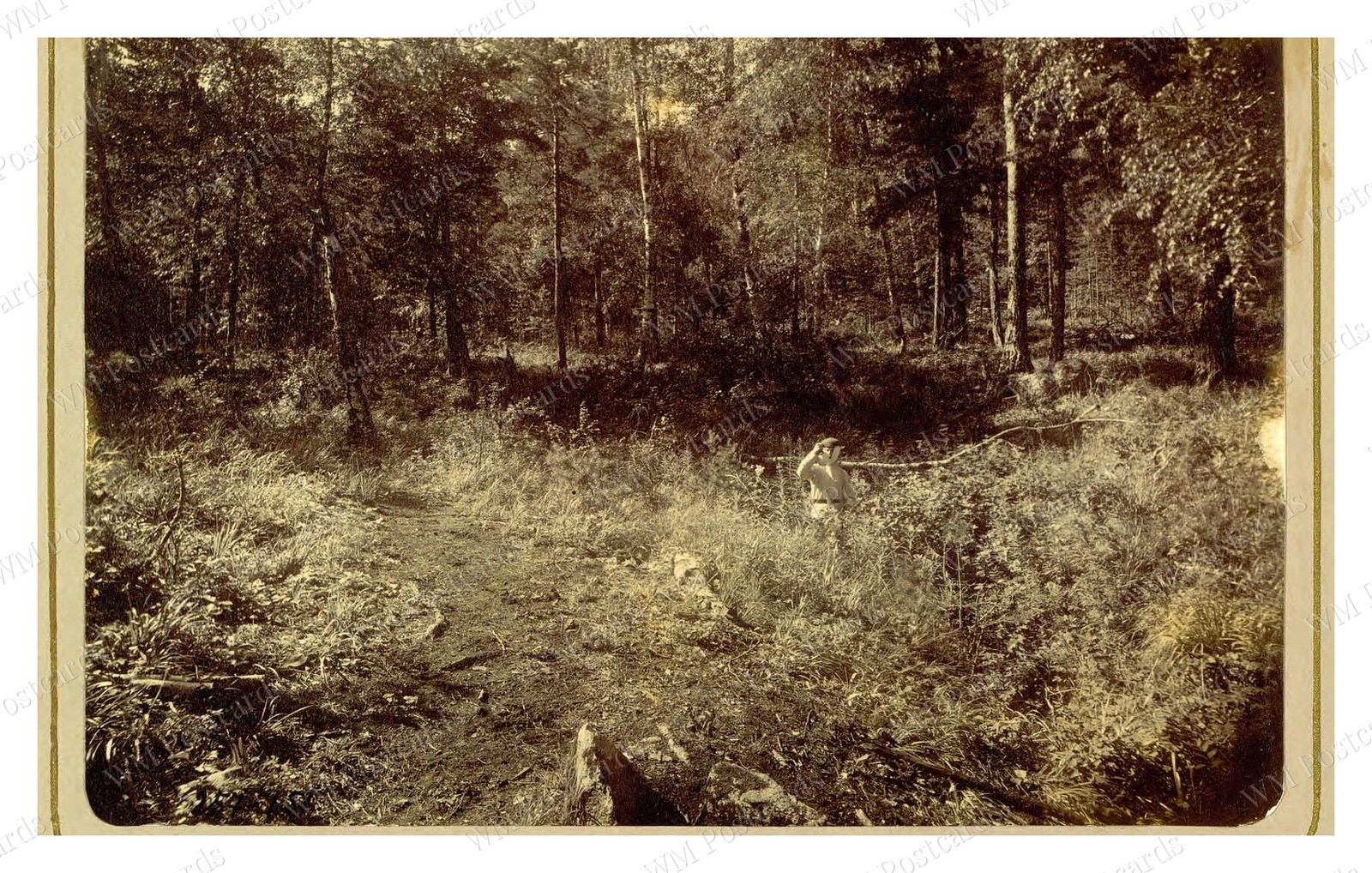 Stepnoi Krai Western Siberia 1909 Cossack Spring Standard Postcard