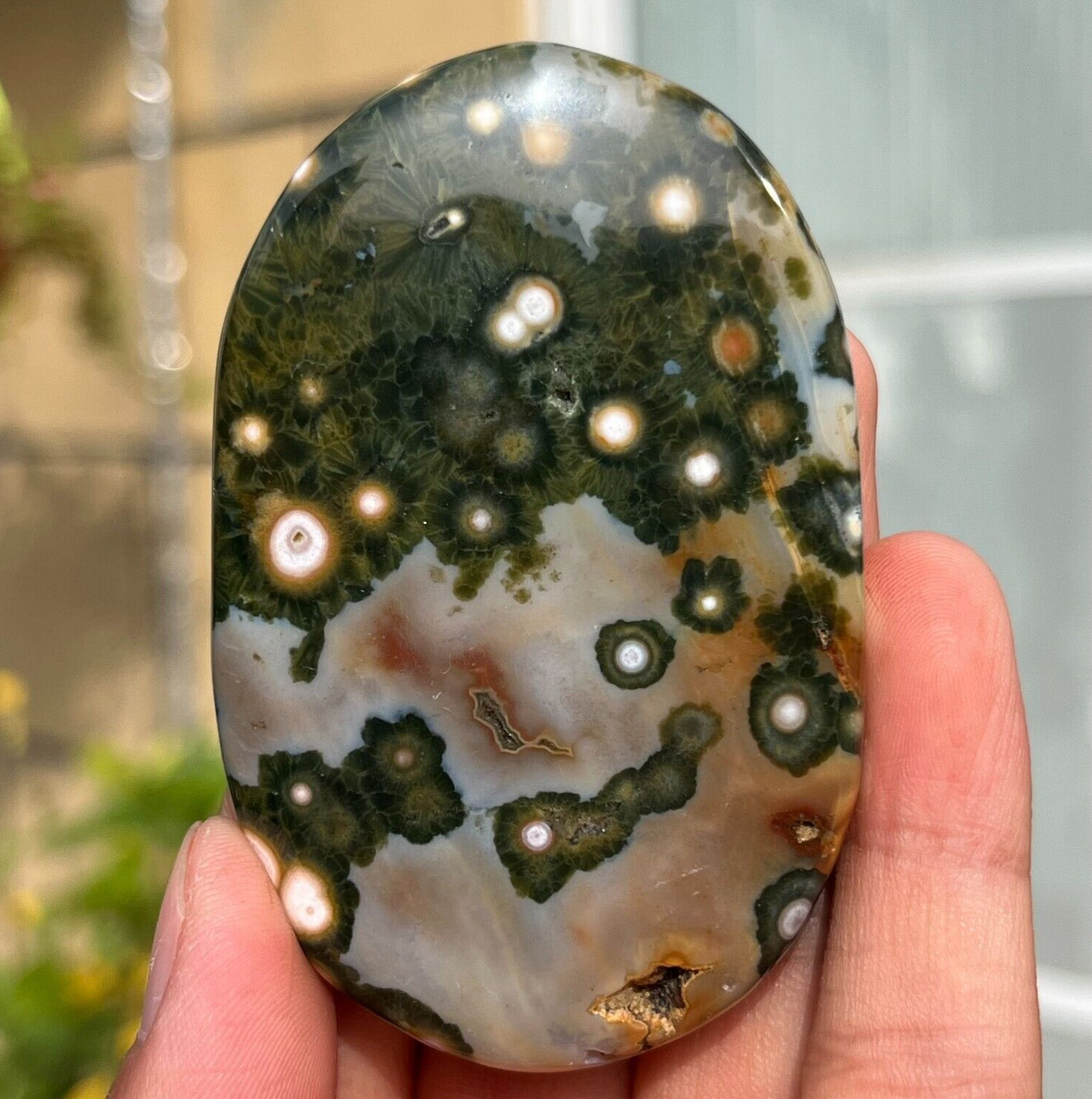 90g Rare Natural Ocean Jasper Palm With Druzy Crystal Reiki Healing
