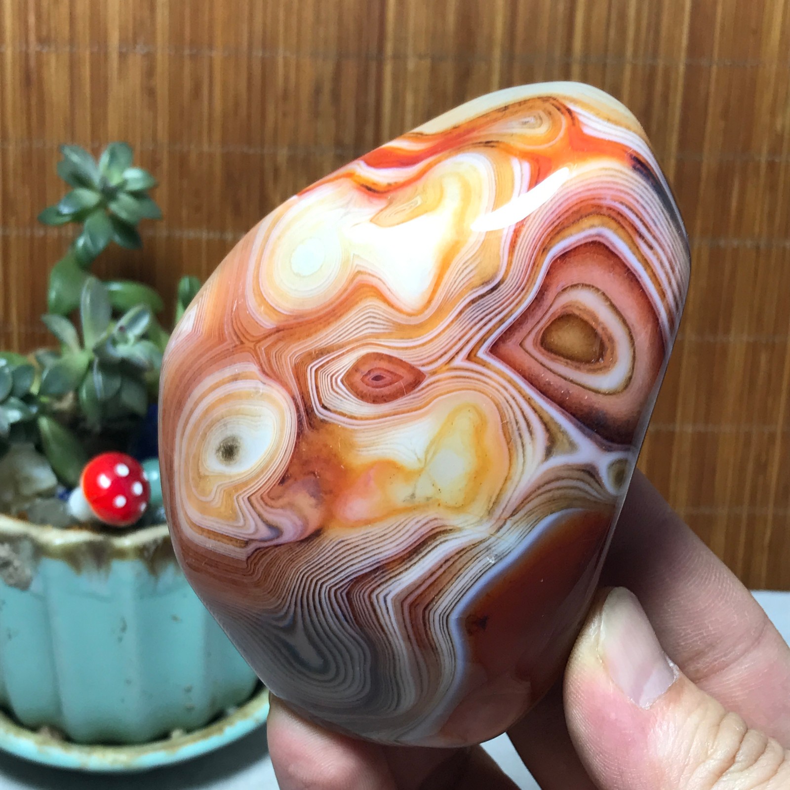 Natural Red Banded Agate Palm Stone Polish Crystal Healing Collection 324g A7765