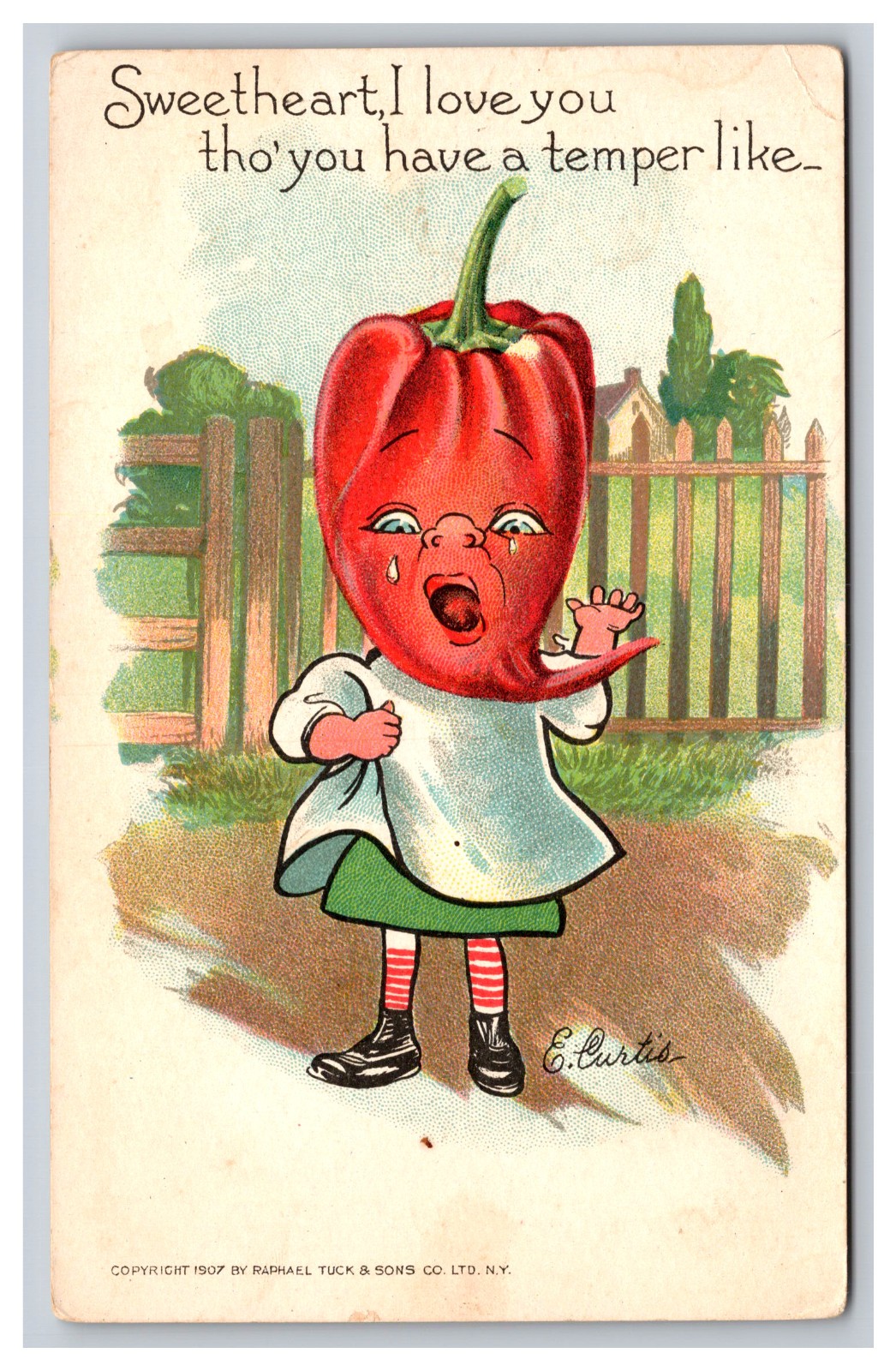 Anthropomorphic Pepper Artist Signed E. Curtis, Tucks Postcard