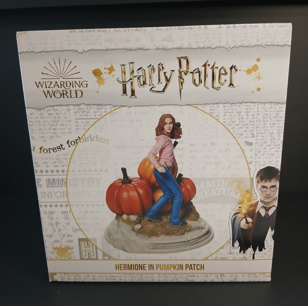 New Enesco Harry Potter Hermione Granger In Pumpkin Patch Figurine # 6009017 New Enesco Harry Potter Hermione Granger In Pumpkin Patch Figurine # 6009017
