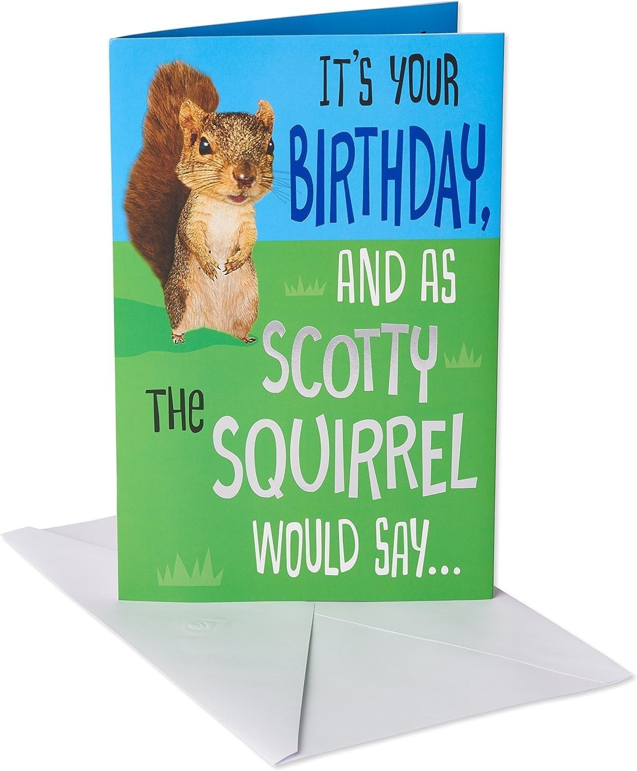 Funny Birthday Card (Squirrel)