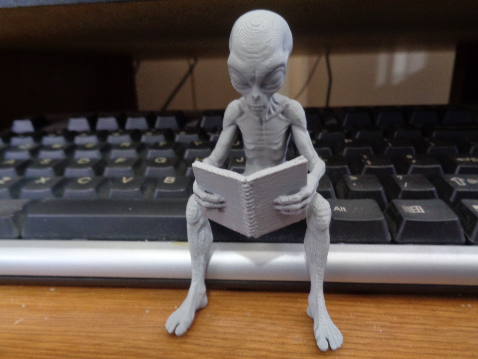 3D Gray Alien Reading Shelf Sitter