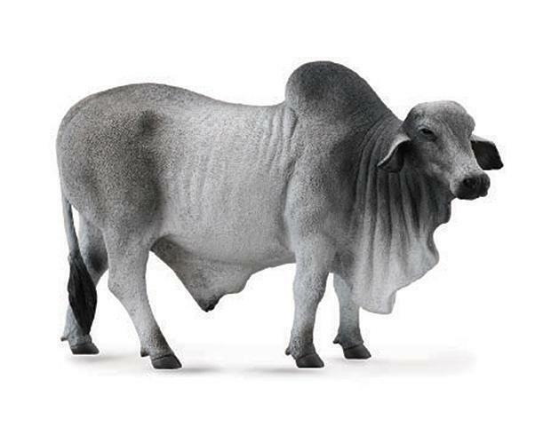 CollectA NIP * Grey Brahman Bull * 88579 Breyer Cow Model Toy Figurine Replica