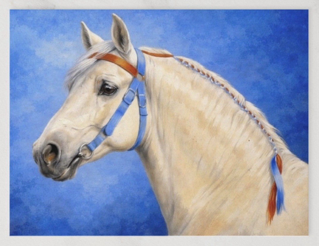 POSTCARD PERCHERON DRAFT HORSE PAINTING COPY ART PHOTO 4.25”x5.5”