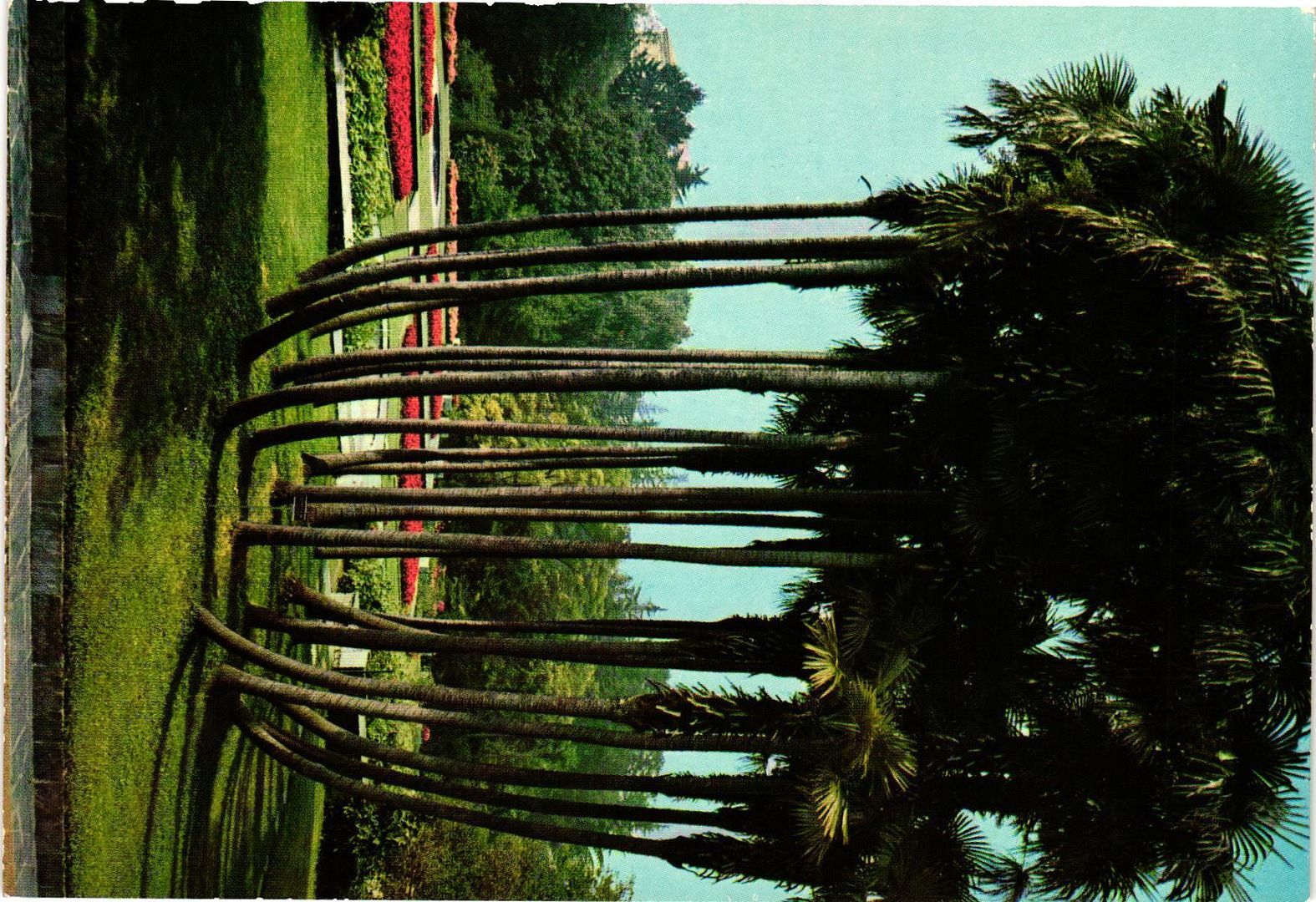 Vintage Postcard 4x6- VERBANIA - PALLANZA (Lago Maggiore), Giardini Botanici di Vintage Postcard 4x6- VERBANIA - PALLANZA (Lago Maggiore), Giardini Botanici di