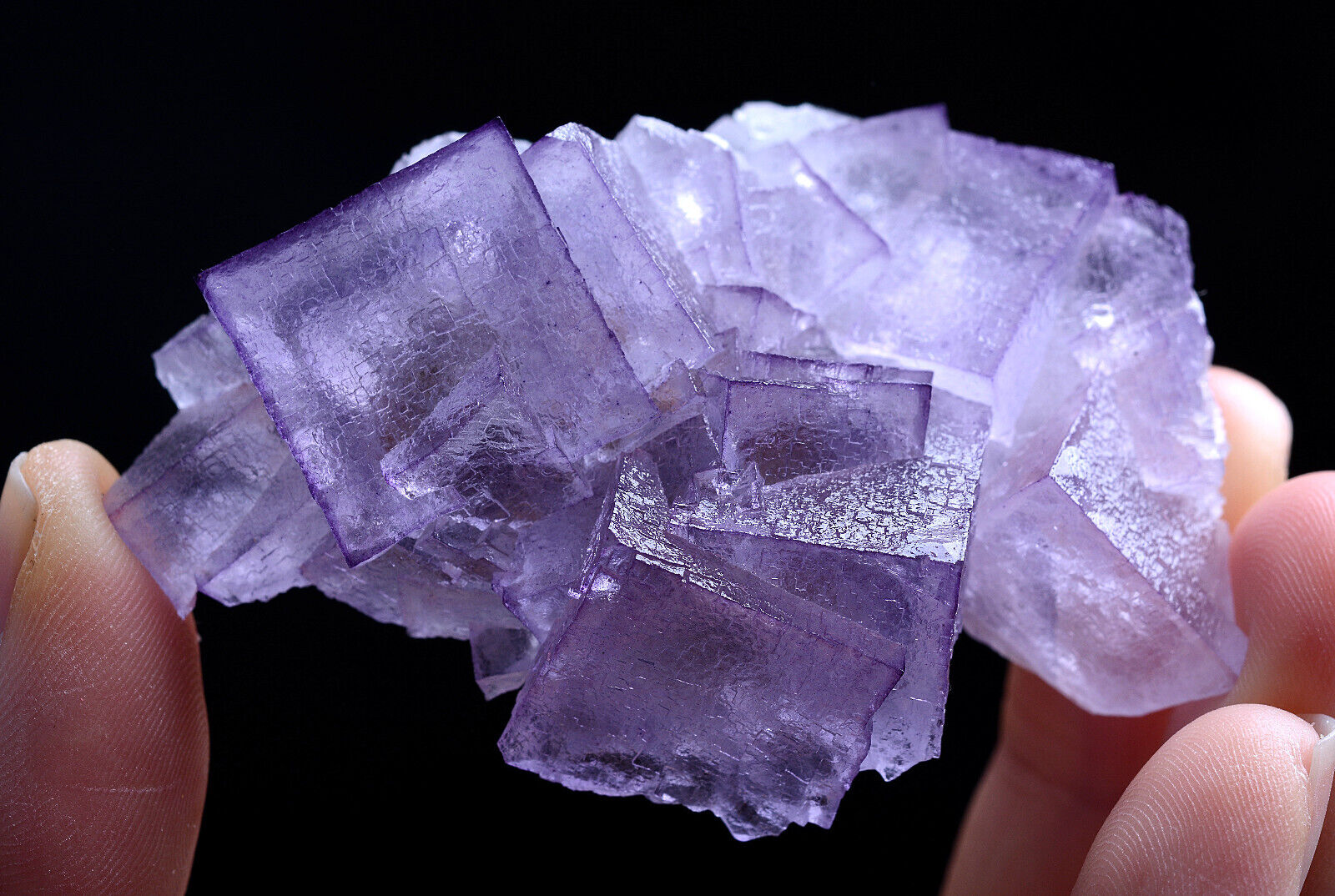 61g Natural Clear Purple Edge Fluorite Mineral Specimen /Guizhou China