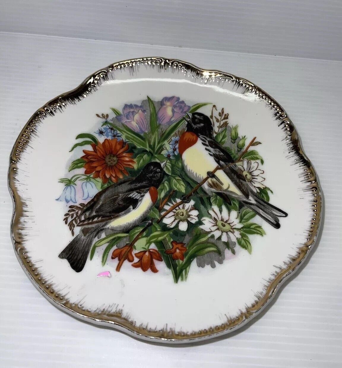 Vintage Black Bird's ARDCO FINE QUALITY DALLAS  PORCELAIN Plate  7.25
