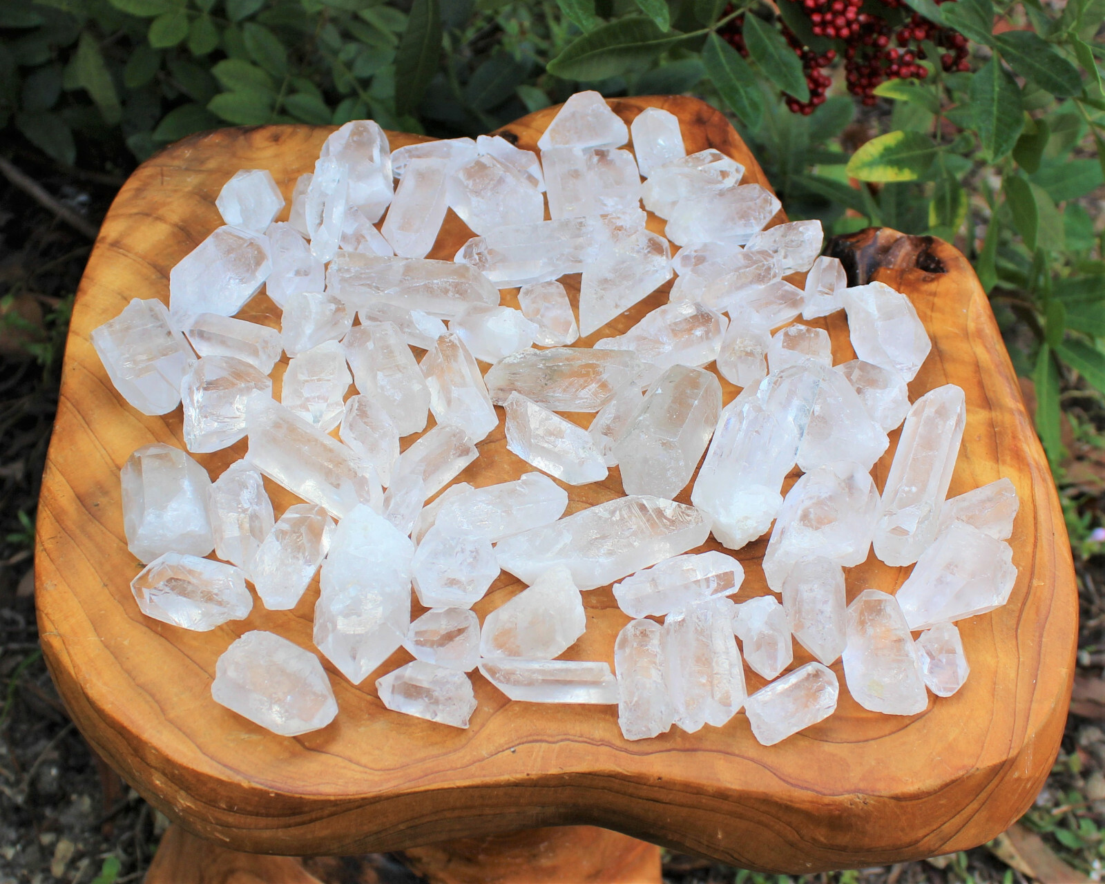1 lb Clear Quartz Crystal Points: Natural Small A Grade Wholesale Bulk Lot