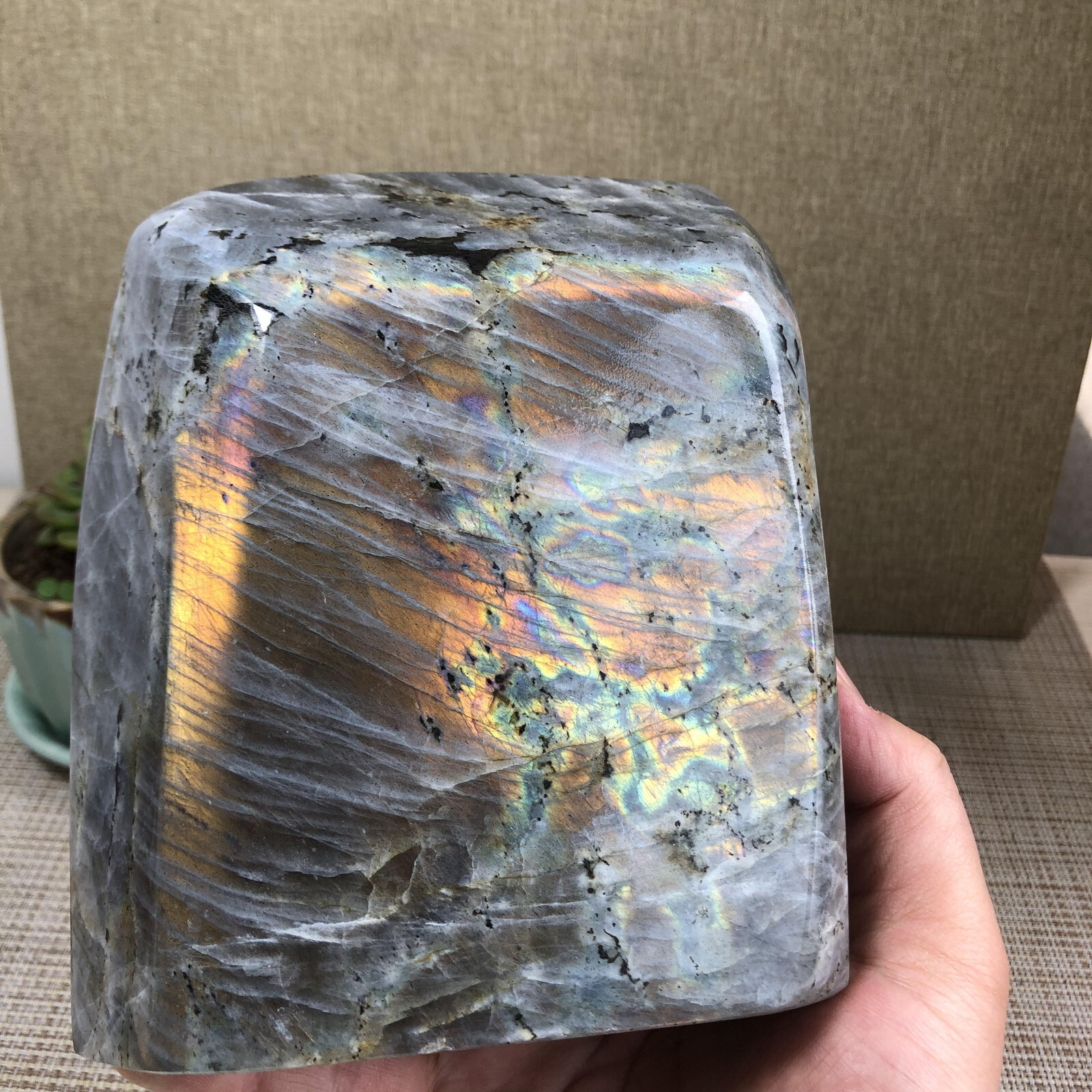 155mm Natural Labradorite Crystal gemstone quartz Polished Specimen 2.18kg A1153