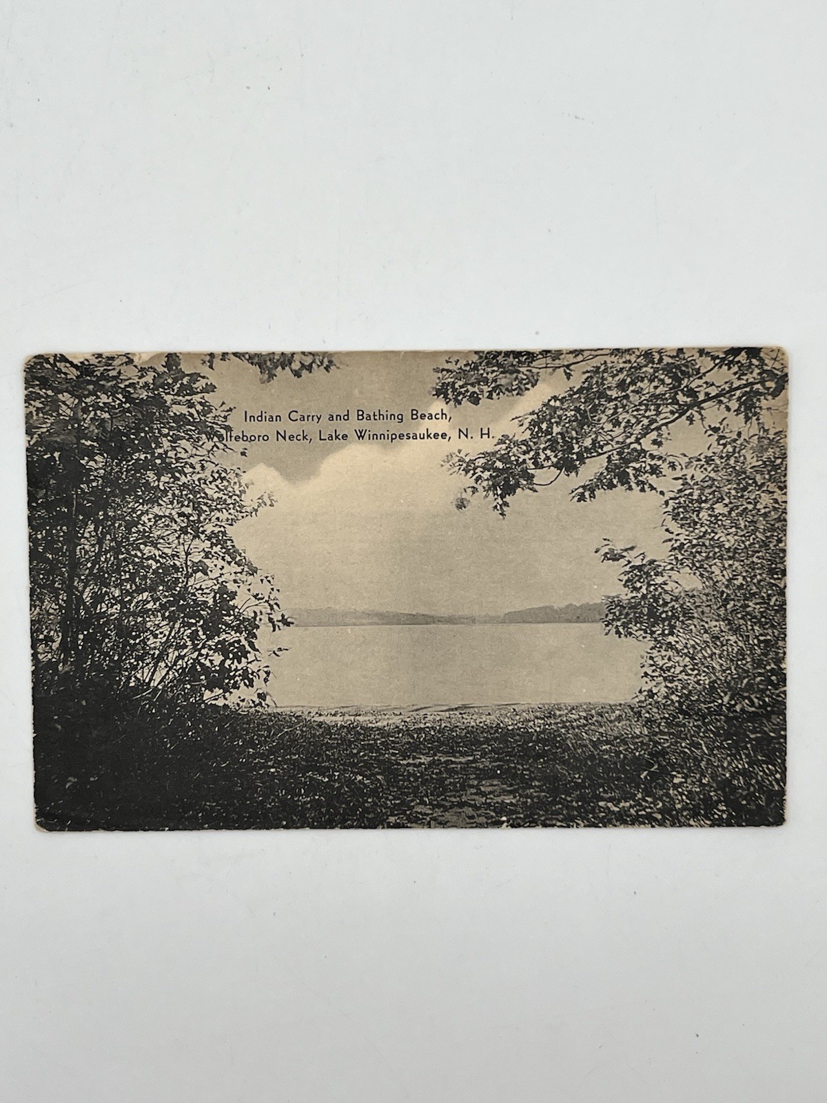 Antique Divided Back Lake Winnipesaukee Wolfeboro NH Photo Postcard Landscape