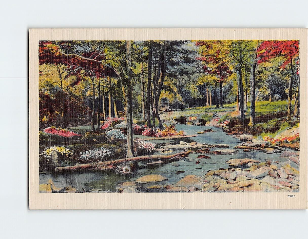 Postcard Picturesque Nature River Scene
