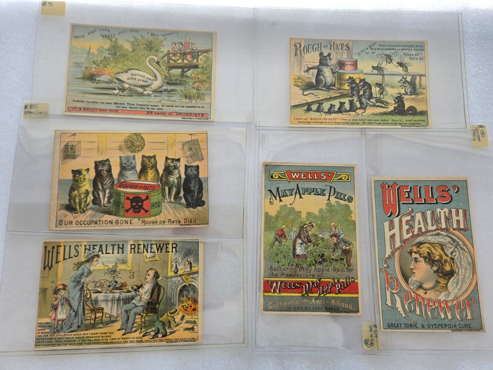 Lot 6 Antique Victorian QUACK MEDICINE Trade Cards Rough on Rats 1800s *ALL MINT