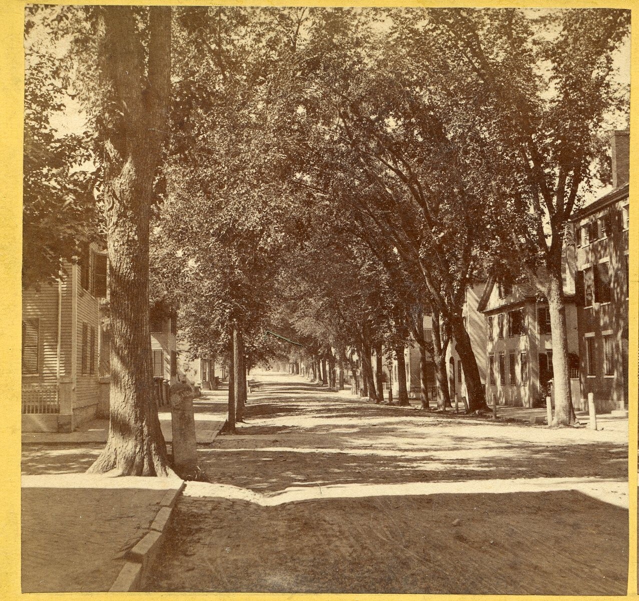 Portland Maine: Cumberland Street, Houses, Trees 1860s Kilburn Brothers E332