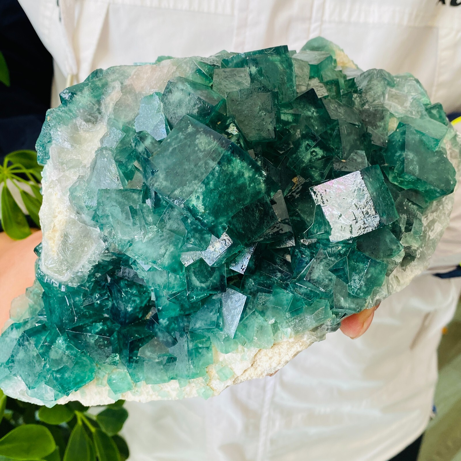 7.2LB Natural Cubic Green Fluorite Quartz Crystal Mineral Specimen Healing
