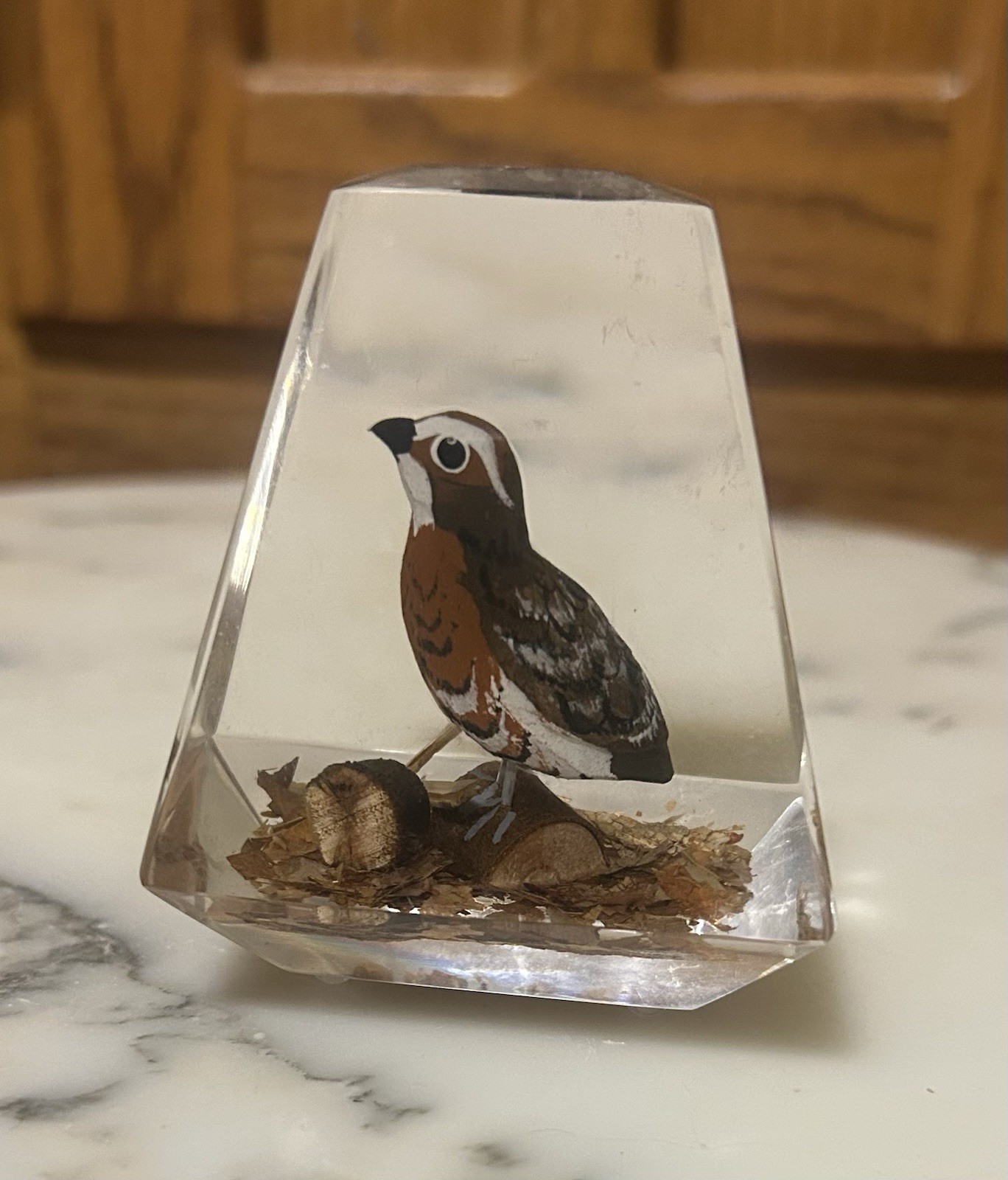 Vintage Unique Canada Lucite Acrylic Hand Carved Wood Quail Pyramid Paperweight Vintage Unique Canada Lucite Acrylic Hand Carved Wood Quail Pyramid Paperweight