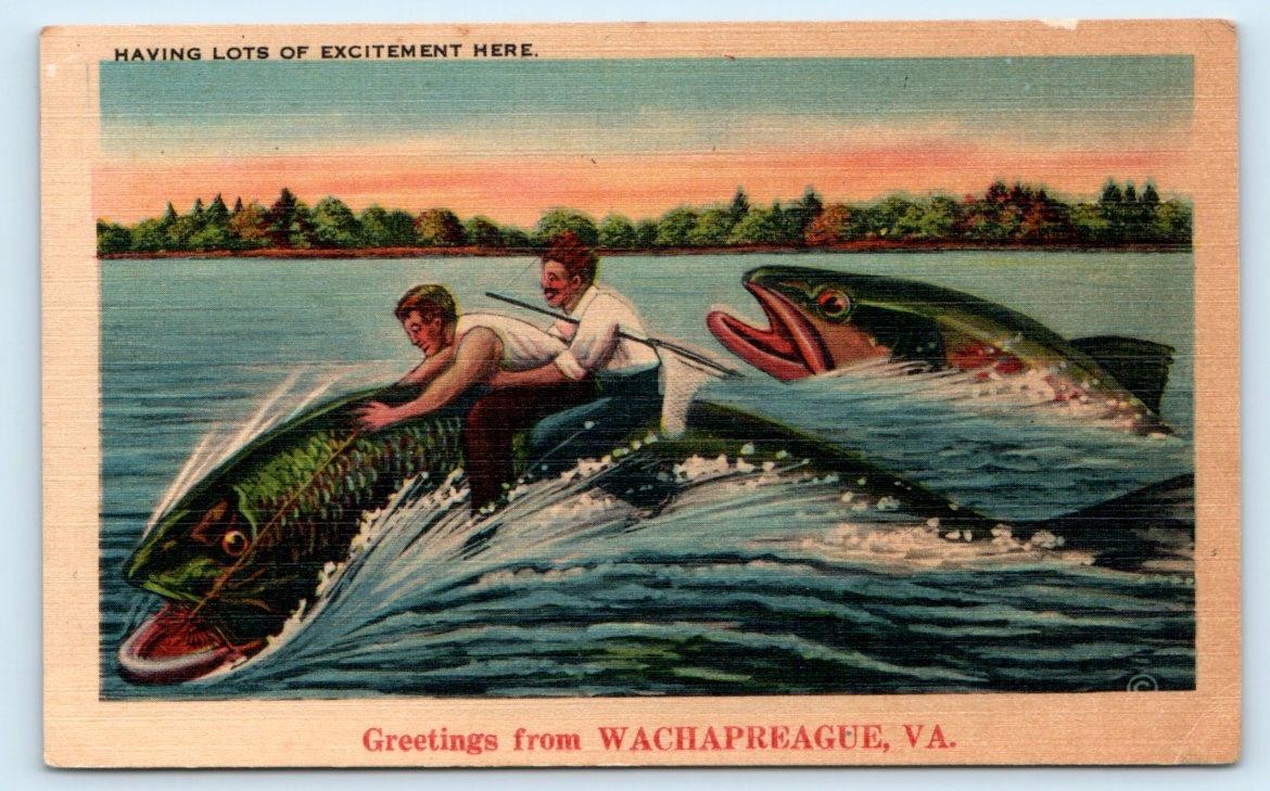 WACHAPREAGUE, VA Virginia ~ FISH EXAGGERATION COMIC Accomack County  Postcard