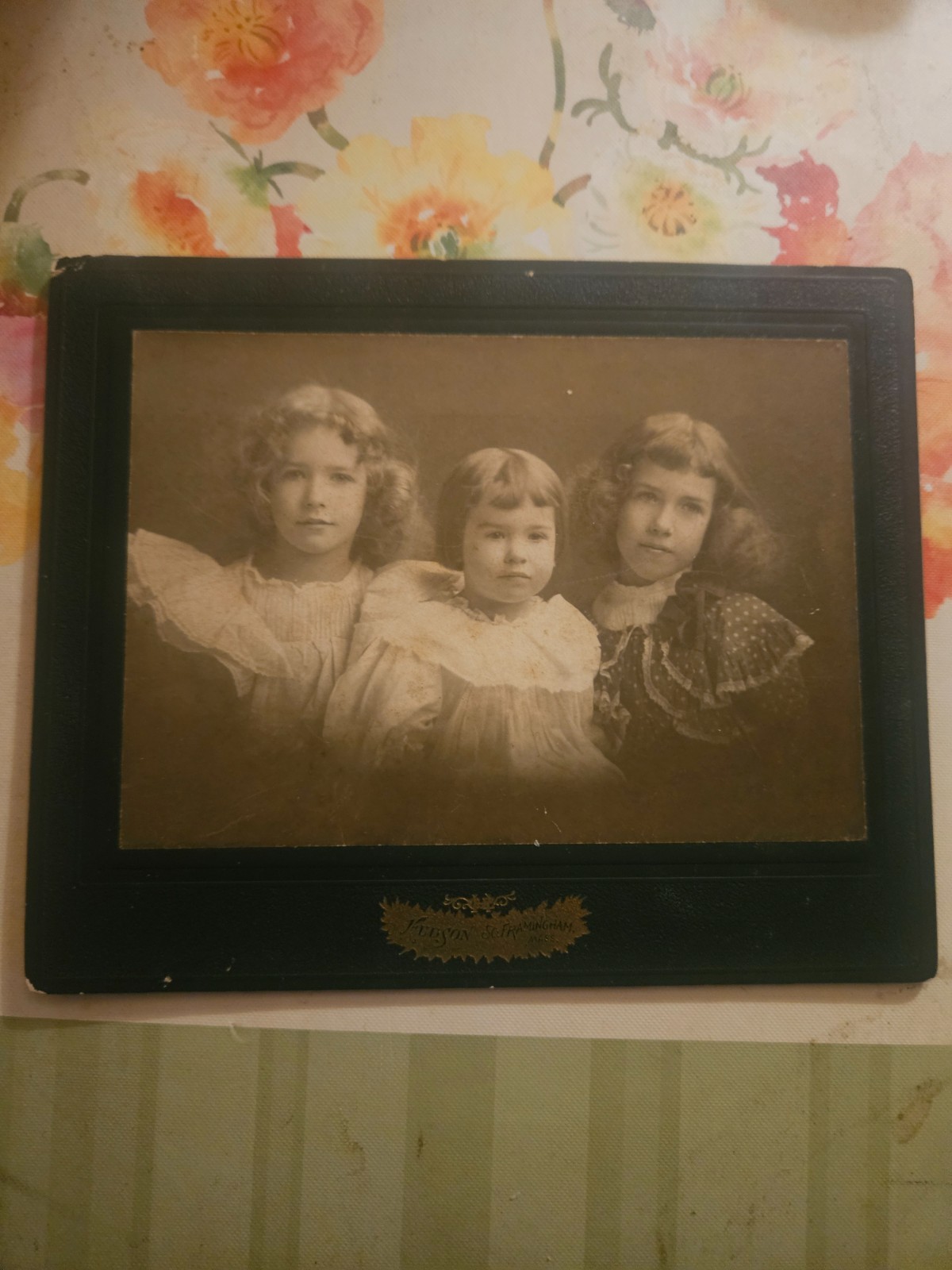 HISTORIC LARNED GENEALOGY ANTIQUE PHOTO LOT ID\'D BEGGS MERRILL